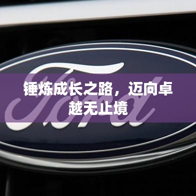 锤炼成长之路，迈向卓越无止境