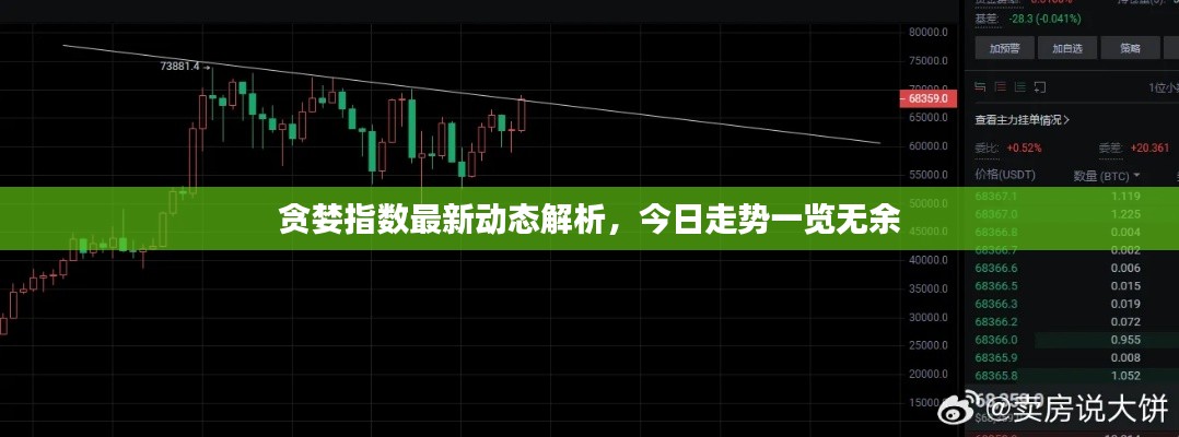 贪婪指数最新动态解析，今日走势一览无余