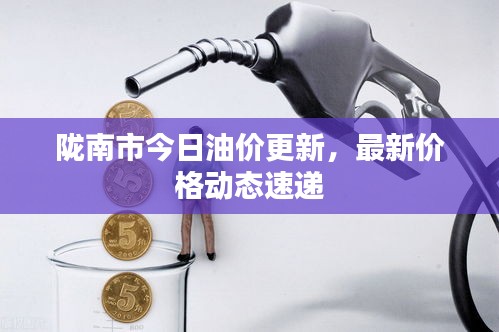 陇南市今日油价更新，最新价格动态速递