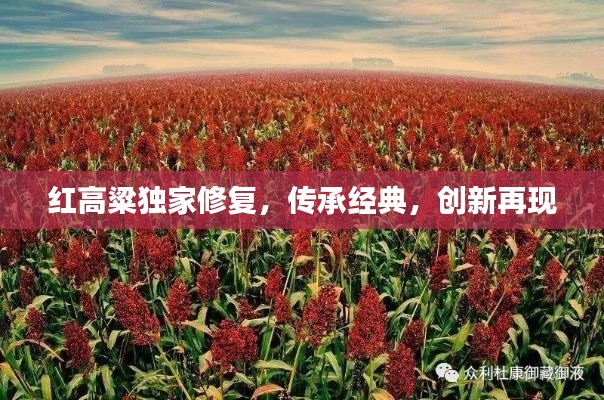 红高粱独家修复，传承经典，创新再现
