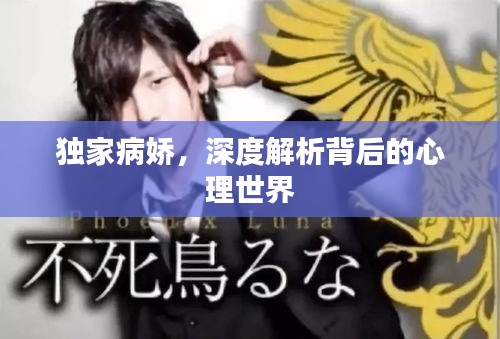 独家病娇，深度解析背后的心理世界