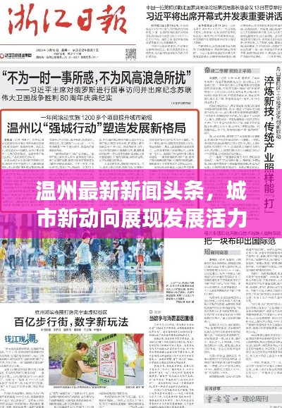 温州最新新闻头条，城市新动向展现发展活力