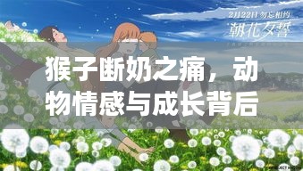 猴子断奶之痛，动物情感与成长背后的故事