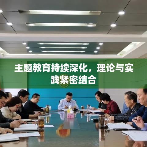 主题教育持续深化，理论与实践紧密结合