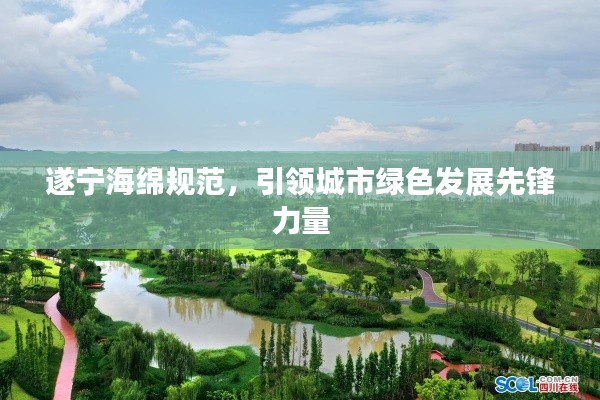 遂宁海绵规范，引领城市绿色发展先锋力量