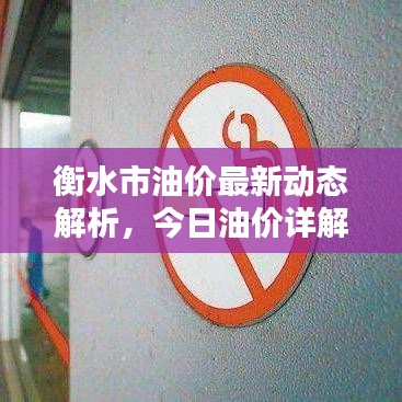衡水市油价最新动态解析，今日油价详解！