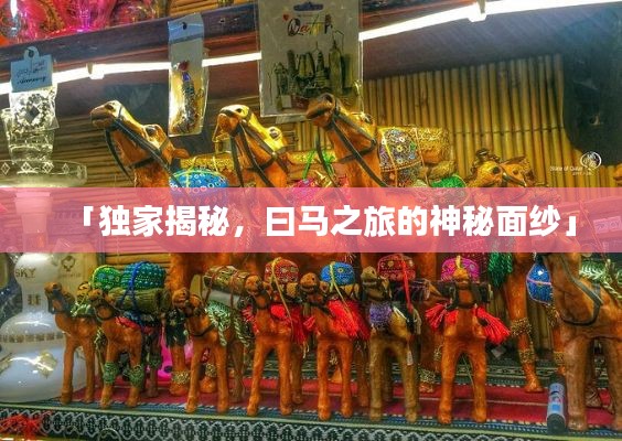 「独家揭秘，曰马之旅的神秘面纱」