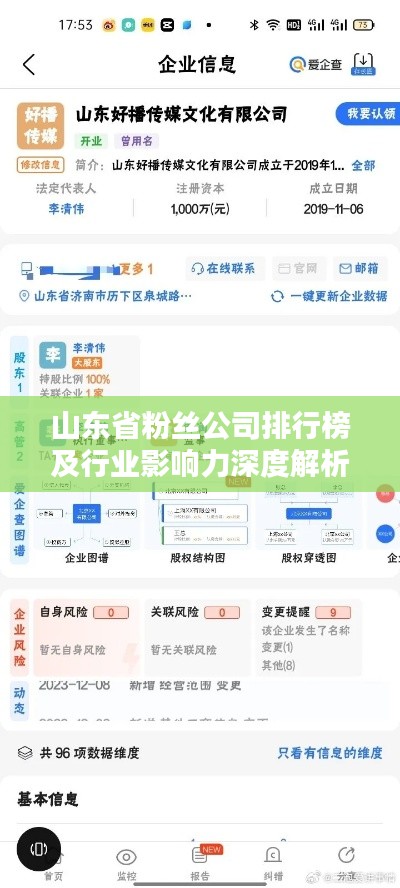 山东省粉丝公司排行榜及行业影响力深度解析