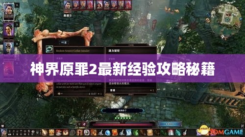神界原罪2最新经验攻略秘籍