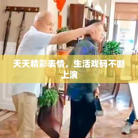 天天精彩表情，生活戏码不断上演