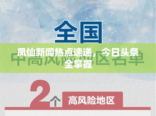 凤仙新闻热点速递，今日头条全掌握