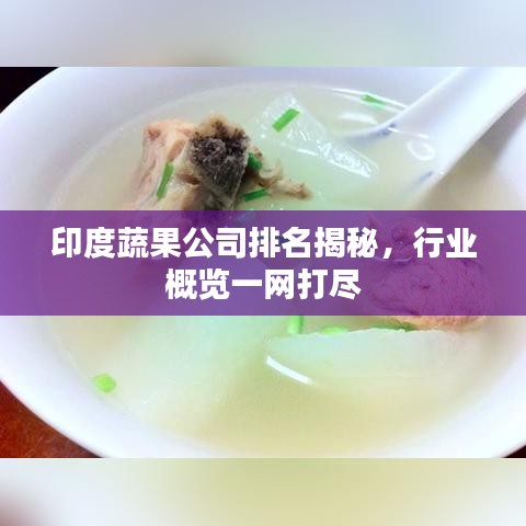 印度蔬果公司排名揭秘，行业概览一网打尽