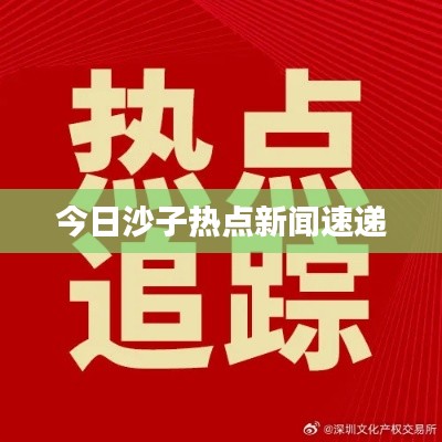 今日沙子热点新闻速递