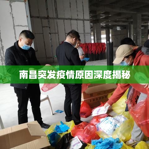 南昌突发疫情原因深度揭秘