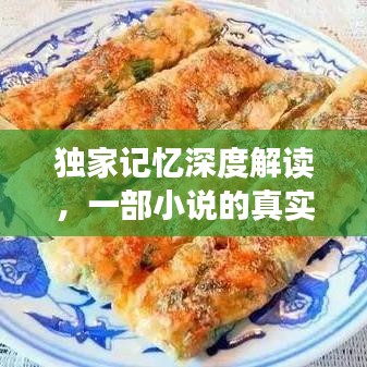 独家记忆深度解读，一部小说的真实探索之旅