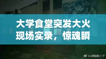 大学食堂突发大火现场实录，惊魂瞬间的视频揭秘