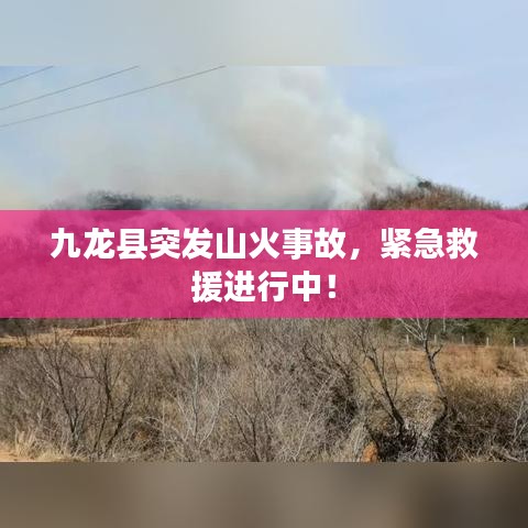 九龙县突发山火事故，紧急救援进行中！