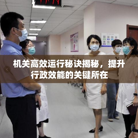 机关高效运行秘诀揭秘，提升行政效能的关键所在