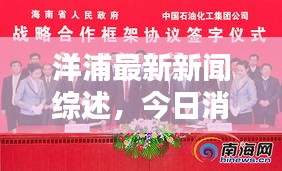 洋浦最新新闻综述，今日消息一网打尽