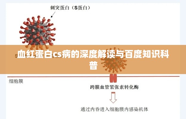 血红蛋白cs病的深度解读与百度知识科普