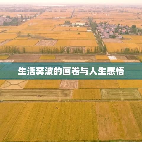 生活奔波的画卷与人生感悟