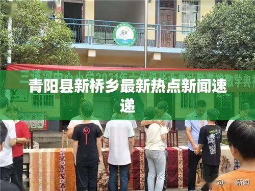 青阳县新桥乡最新热点新闻速递