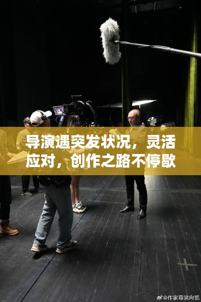 导演遇突发状况，灵活应对，创作之路不停歇