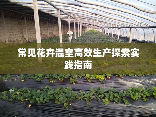 常见花卉温室高效生产探索实践指南