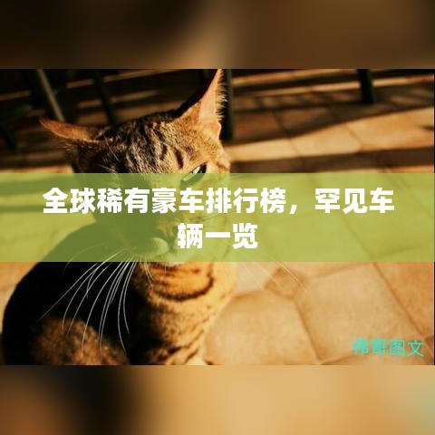 全球稀有豪车排行榜，罕见车辆一览