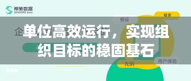 单位高效运行，实现组织目标的稳固基石