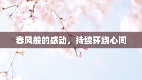 春风般的感动，持续环绕心间
