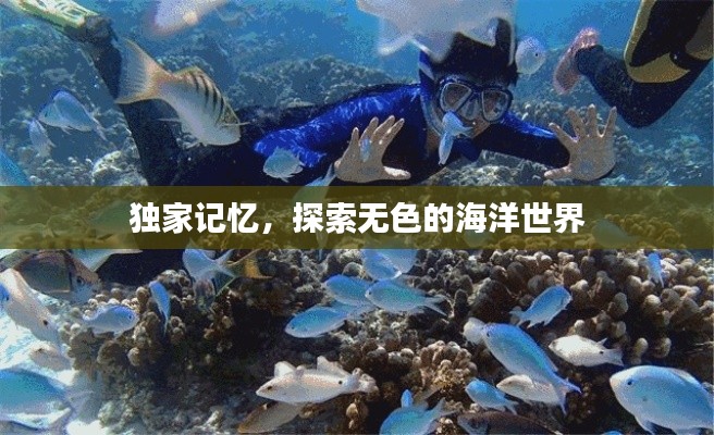 独家记忆，探索无色的海洋世界