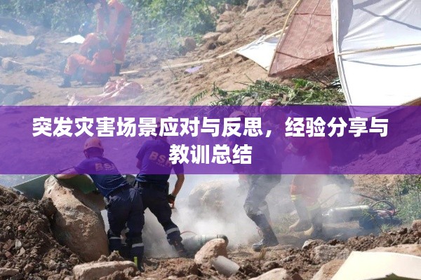 突发灾害场景应对与反思，经验分享与教训总结
