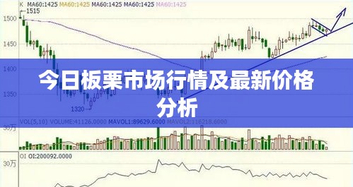 今日板栗市场行情及最新价格分析