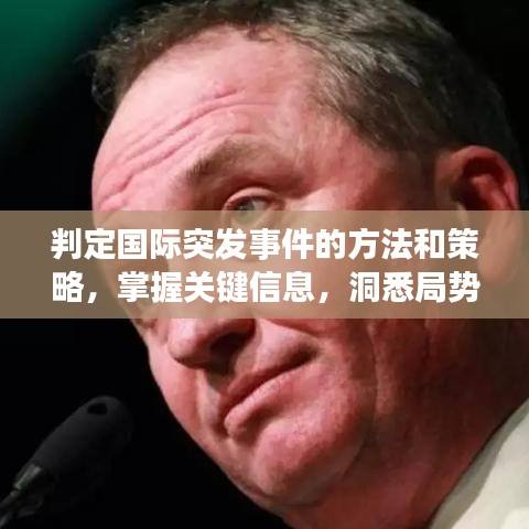 判定国际突发事件的方法和策略，掌握关键信息，洞悉局势变化