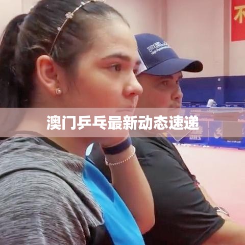 澳门乒乓最新动态速递