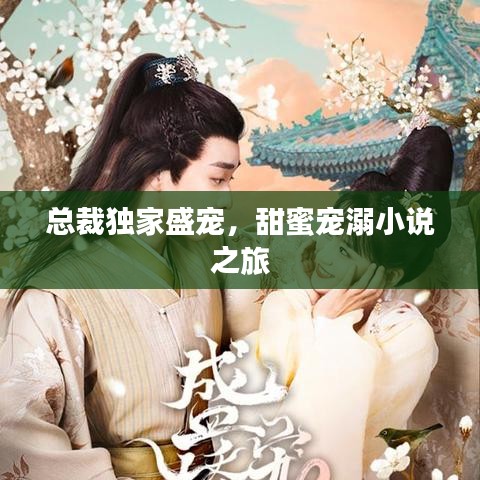 总裁独家盛宠，甜蜜宠溺小说之旅