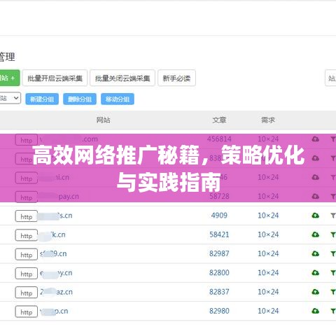高效网络推广秘籍，策略优化与实践指南