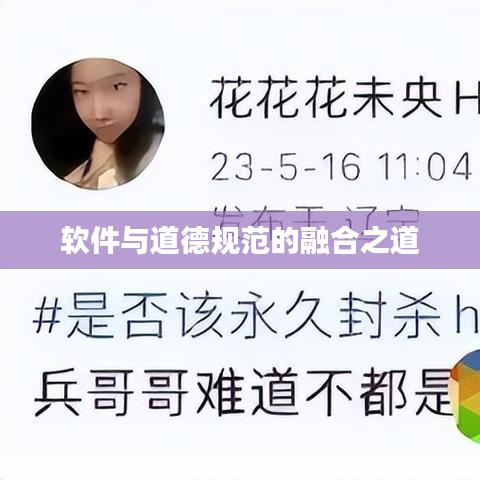 软件与道德规范的融合之道