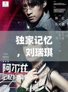 独家记忆，刘瑞琪的音乐之旅探秘