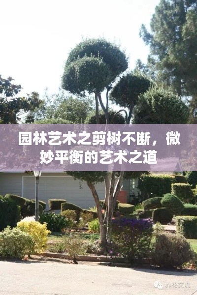 园林艺术之剪树不断，微妙平衡的艺术之道