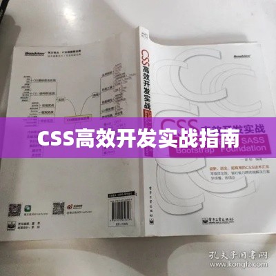 CSS高效开发实战指南