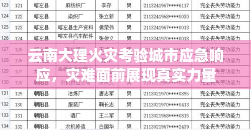 云南大理火灾考验城市应急响应，灾难面前展现真实力量