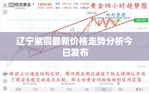 辽宁紫铜最新价格走势分析今日发布
