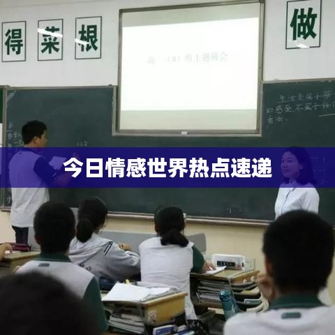 今日情感世界热点速递